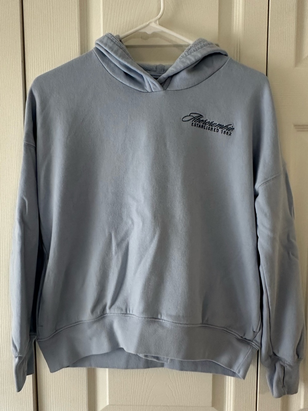 abercrombie kids Light Blue Hooded Sweatshirt with Chest Script